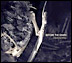 Before the Dawn SHR 005-2